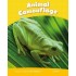 PK 6: ANIMAL CAMOUFLAGE
